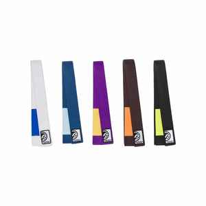 Ceinture de Jiu-Jitsu personnalisée de haute qualité avec BFS-JJB d'étiquette personnalisée pour le Taekwondo des arts martiaux et la sécurité sportive fabriquée au Pakistan - Product Image 1