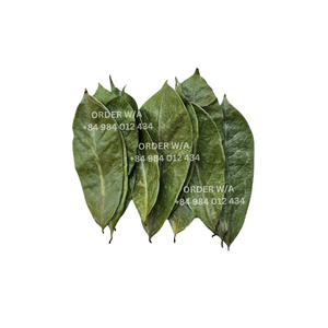ใบก100% ิโอลาธรรมชาติแห้งผลิตจากพืชป่า - Product Image 6