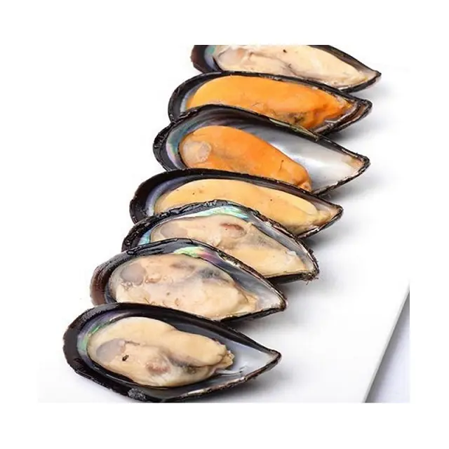 Meilleure qualité Offre Spéciale prix moules de crustacés congelées/viande de moule congelée avec coquille (fruits de mer)