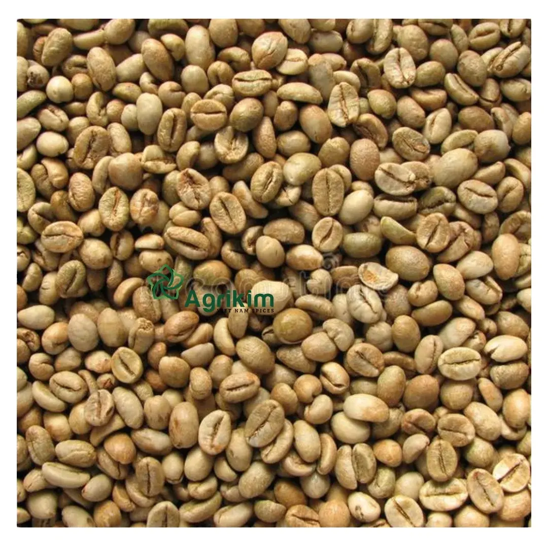 حبوب البن الأخضر الفيتنامي الروبوستا والعرب-قهوة روبوستا عالية الجودة بسعر جيد من فيتنام