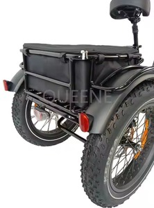 Queene รถสามล้อไฟฟ้า750W พร้อมมอเตอร์หน้า3ล้อพับโครงไทเทเนี่ยมจักรยานบรรทุกของล้อโต - Product Image 3