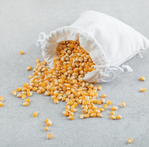 Vente en gros de graines de maïs sucré jaune sec pour l'alimentation animale sans OGM traitées IQF pour la volaille et le bétail - Product Image 1