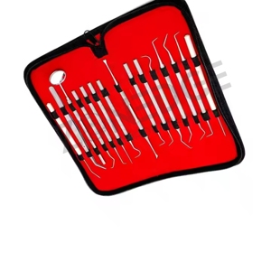 Ensemble complet d'outils dentaires en acier inoxydable de haute qualité Instruments de laboratoire manuels pour les kits dentaires de nettoyage - Product Image 3