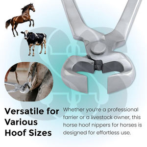 Outil multi-usage en acier inoxydable pour couper les sabots des chevaux, des bovins, des moutons, des chèvres - Coupe-sabots robustes, durables et résistants à la rouille - Product Image 6