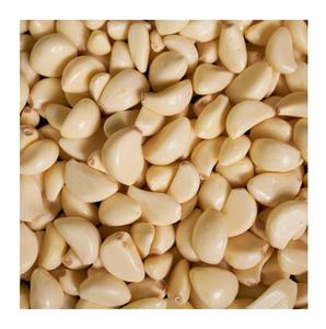 กระเทียมปอกเปลือกสด - คุณภาพสูงและมีกลิ่นหอมสำหรับทำอาหารและปรุงรส - Product Image 3