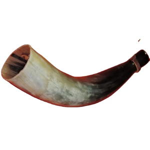 Corne à souffler viking portable faite à la main |   Corne de vache polie, style animal, corne de signalisation - Product Image 1