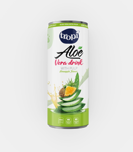 Bebida con sabor a Aloe Vera, botella de PET de 500ml, etiqueta privada OEM, bajo en grasa, 100% puro, jugo de frutas y verduras, 10 Brix, estante para 24 meses - Product Image 2