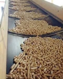 Granulés de bois CheaPremium du Vietnam : Fabricant de combustible biomasse durable en forme de bâton pour système de chauffage – Usine OEM au Vietnam - Product Image 1