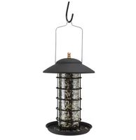Colibri oiseau maison décorative métal oiseau alimentation brillant perroquet vert couleur lanterne forme suspendue pour oiseaux élégant jardin