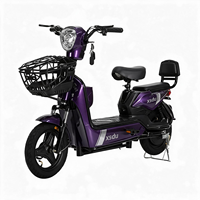 Mopeds électriques fabriqués en Chine, vélo électrique 48V à 2 places, vélo électrique de ville pour adultes
