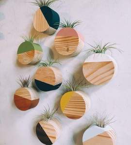 กระถางดอกไม้ไม้กลางแจ้งต้องการปลูกต้นไม้ในสวนหลังบ้านกระถางต้นไม้เปลือกเฟอร์ - Product Image 2