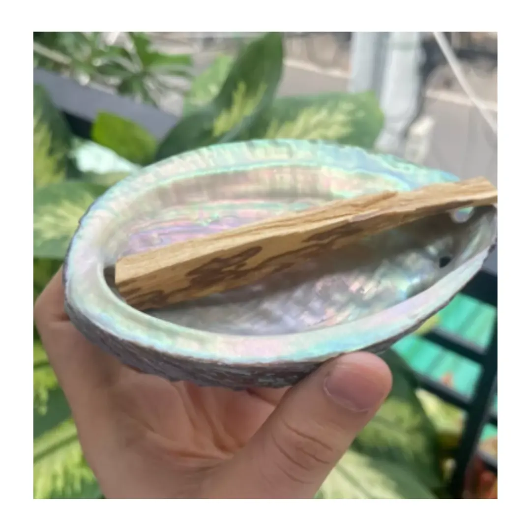Abalone shell jewelry findings Best selling Mother Of Pearl Seashell for making accessories and beautiful jewelry and ornament