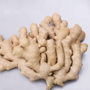 Poudre de gingembre instantanée 100% pure et naturelle / Poudre de jus de gingembre / Poudre de racine de gingembre - Product Image 1