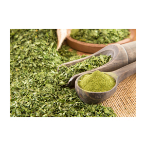 เตาหลอมโลหะถ่านโค้กแบบใช้ขี้เถ้าต่ำสำหรับมะรุมธรรมชาติ sale100 % คุณภาพสูง100% moringa oleifera Lam Moringa - Product Image 3