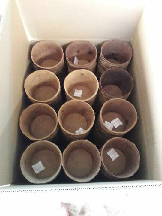 椰壳花盆椰子纤维植物种植生态花盆花瓶热压土花盆蓝莲花2024农业