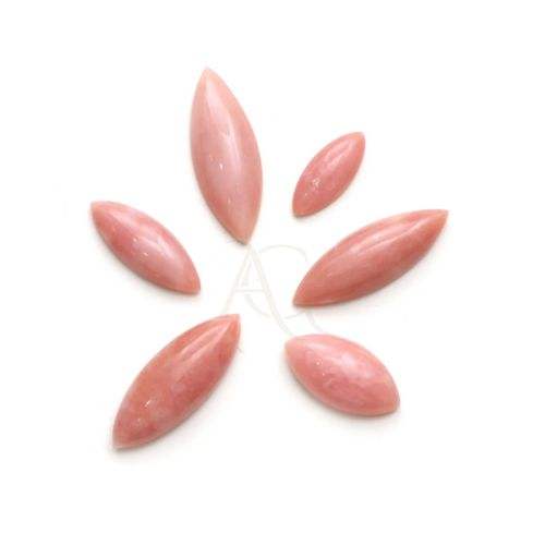 แสดงเป็นภาพ