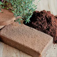 Blocs de tourbe de coco de haute qualité pour la culture des plantes