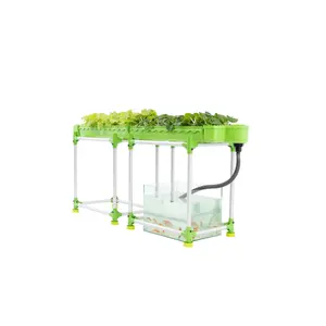 Outdoor Aquaponic Fish Farming And Leafy Greens Cultivation Medium Double 1 Layers Set