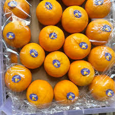 Mandarinas Frescas de 5kg, 10kg y 15kg en Caja, Precio al por Mayor - Product Image 5