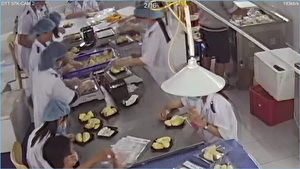 Bandeja de plástico al vacío de 500 gramos, producto agrícola, verduras frescas, Durian, Vietnam, naturalmente maduro, congelado, fresco - Product Image 5