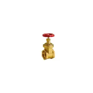 Factory Supply Brass Water Tank Fitting for Plumbing Use from Indian Supplier of Hushing Brass Bulkhead Tank Fitting