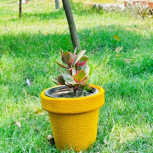 Jardinière en plastique à usage de bureau avec fleur artificielle pour application de jardin Pots de fleurs et jardinières - Product Image 1