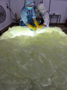 พร้อมใช้ว่านหางจระเข้เจลลี่จากฟาร์มออร์แกนิก - Product Image 4