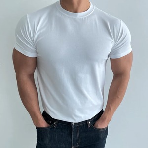 2025 Slim Fit O-cuello Camiseta de algodón para hombre Antiarrugas 260g Tela de alta calidad Serigrafía en blanco Servicio OEM disponible - Product Image 1