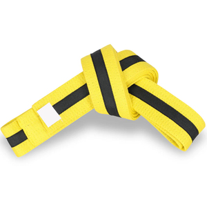 Ceinture de karaté de qualité supérieure, ceinture de karaté BJJ personnalisée, confortable, nouvelle arrivée, ceintures de karaté BJJ pour hommes et femmes - Product Image 4