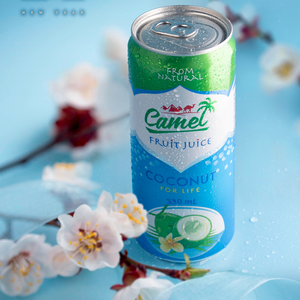 ABEST 330ml Eau de Coco Prête à Boire Boisson Tropicale OEM ODM Fabricant de Boissons Sans Alcool Marque Privée A&B Vietnam - Product Image 6