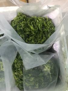 Algues vertes déshydratées vendues directement par le fabricant échantillon gratuit offert - Product Image 3