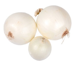 Cebolla Blanca Orgánica Fresca de Grado A, Sin Pelar, Redonda, 8 cm, Tipo de Cultivo - Product Image 1