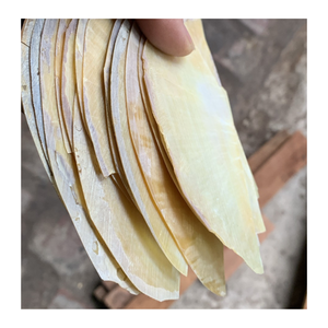 Vietnam nacre coquille pièces nacre tranches de nacre pour incrustation artistique bijoux Art mural panneaux de meubles décoratifs - Product Image 5