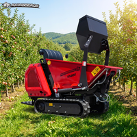 Mini transporteur sur chenilles Rhinoceros XN800, charge utile 800 kg, cuve 0,26 m³, moteur Kubota en option, manutention en pépinière