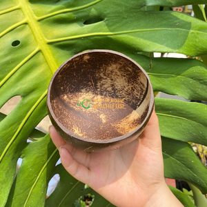 แก้วมะพร้าวพร้อมหลอด/งานหัตถกรรมถ้วยกะลามะพร้าวพร้อมโลโก้และบรรจุภัณฑ์แบบกำหนดเองจากผู้ผลิต Eco2go เวียดนาม - Product Image 6