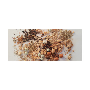 Semillas de forraje tolerantes a las heladas para siembra temprana Semillas de forraje para parcelas de alimentos de vida silvestre - Product Image 3