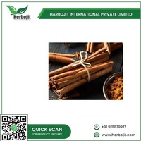 Bâtonnets d'épices de piment de la Jamaïque 100% naturels, cueillis à la main, séchés à l'air, qualité A+, meilleure qualité, 1 kg disponible en gros, provenant d'Inde