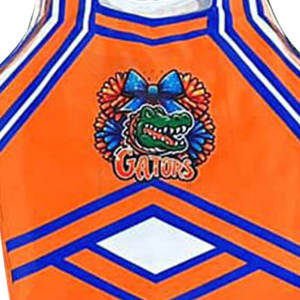 Uniforme de animadora personalizado de alta calidad de fabricante para mujer, uniformes de animadora de últimos diseños y precio barato para conjunto - Product Image 6