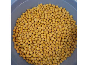 Snack de soja rôti croquant de haute qualité du Vietnam goût de noisette et savoureux emballage en vrac de style séché - Product Image 6