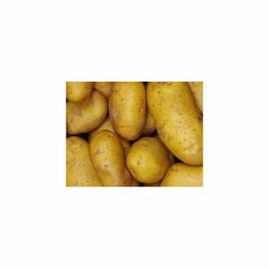 Meilleure vente de frites de pommes de terre fraîches biologiques à bas prix en gros pour des frites surgelées directement d'Autriche - Product Image 2