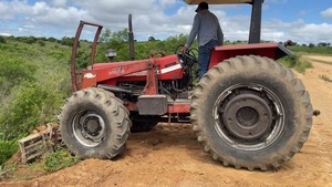 Masseyy Fergusonn tractors Heavy Duty Farm Equipment Bulk Supply <b>Cheap</b> Price - Product Image 4