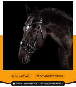 Bride en cuir Micklem pour l'équitation occidentale Produits de cheval intelligents - Product Image 2