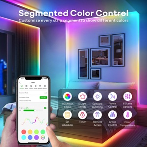 2024 Hot Bán bằng giọng nói app điều khiển Alexa Google HomeKit không dây Wifi kích hoạt <span class=keywords><strong>LED</strong></span> 10m thông minh <span class=keywords><strong>LED</strong></span> Strip ánh sáng - Product Image 4