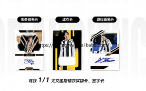 YYing 2024-25 Dakaed Top Audience Star Card Paper 14 Years up - Product Image 5