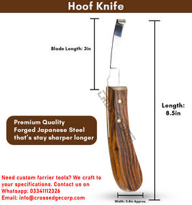 Support de sabot professionnel outils de ferrage de cheval maréchal-ferrant droitier Double bord vétérinaire mouton chèvre Animal pied outils d'élagage - Product Image 2