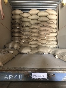 [Offre spéciale] grains de café vert ROBUSTA SCR #16, fabriqués au Vietnam, de haute qualité, prix raisonnable (pour les boissons chaudes, etc.) - Product Image 5