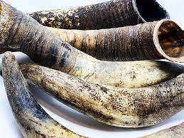 Artesanía TIMELESS CRAFT al por Mayor, Puntas de Cuerno de Búfalo Ecológicas, Personalizadas, Hechas a Mano, de Alta Calidad, Modernas y Naturales para Bodas - Product Image 5