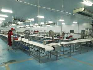 <span class=keywords><strong>Source</strong></span> usine conception professionnelle chiffre d'affaires industriel boîte convoyeur traitement de la viande ligne de convoyeur à bande - Product Image 2