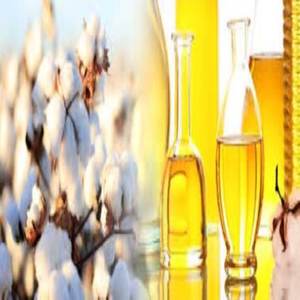 น้ำมันเมล็ดฝ้ายออร์แกนิก - Product Image 6