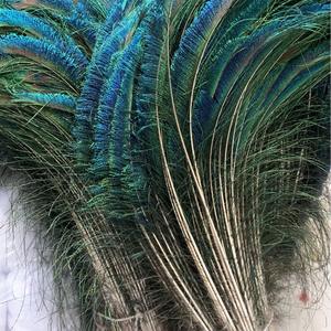 <span class=keywords><strong>Attrape</strong></span>-rêves coloré DIY avec <span class=keywords><strong>plume</strong></span> teintée <span class=keywords><strong>Paon</strong></span> - Product Image 5